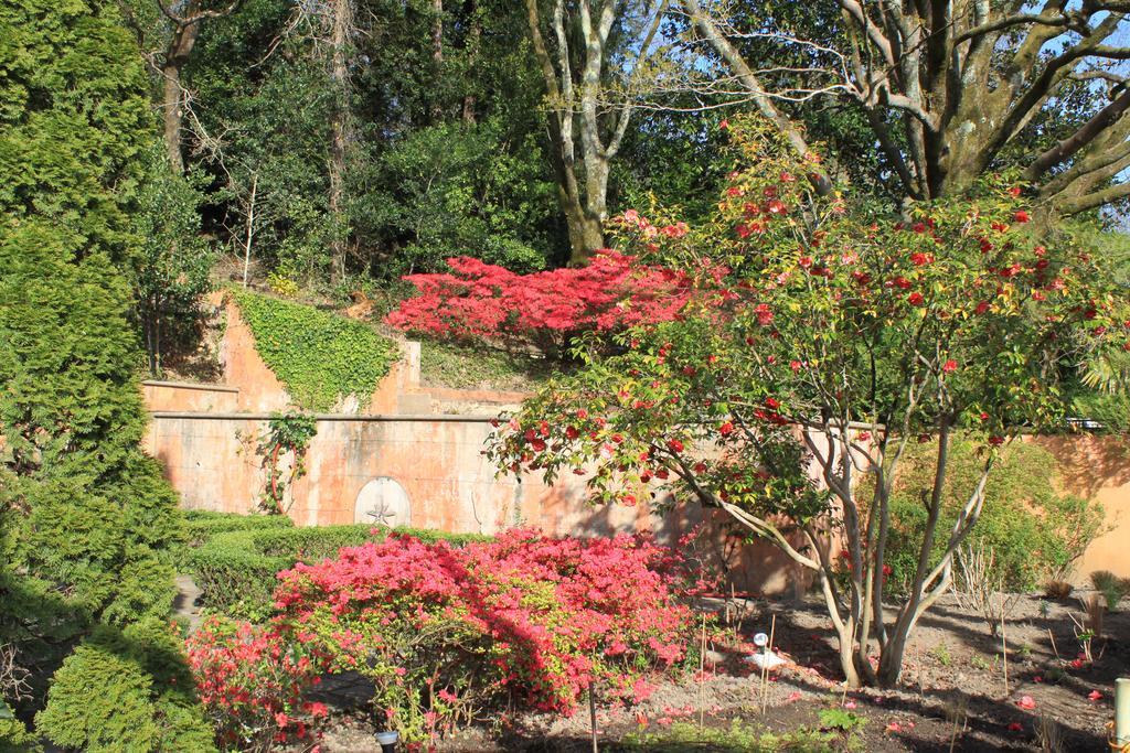 Hotel Chantaco Golf & Wellness Saint-Jean-de-Luz Exteriör bild